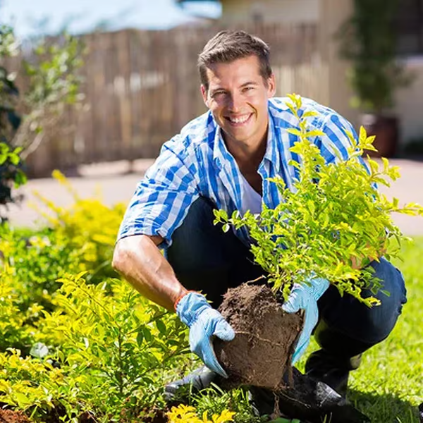 🌱 Blühende Erde, mühelos natürlich – mit ECOCERT-Power🔔 Verbessern Sie Ihren Boden JETZT & sparen Sie 50%! 🌱