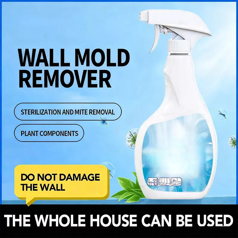 Hochwirksames Schimmel-Entfernungs-Spray - Verhindert erneutes Schimmelwachstum