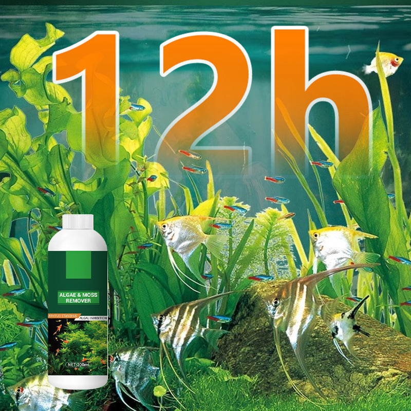 🎉Mehr kaufen, mehr sparen💥 Algen- & Moosentferner für das Aquarium - Sichere Wasseraufbereitung