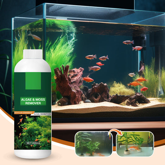 🎉Mehr kaufen, mehr sparen💥 Algen- & Moosentferner für das Aquarium - Sichere Wasseraufbereitung