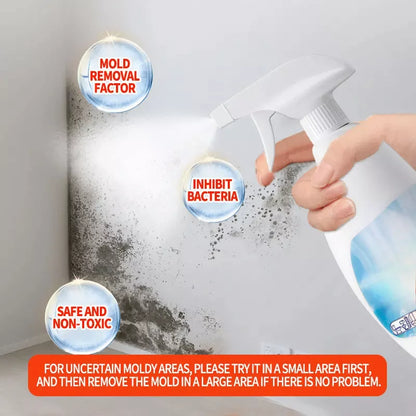 Hochwirksames Schimmel-Entfernungs-Spray - Verhindert erneutes Schimmelwachstum