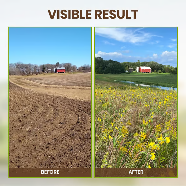🌱 Blühende Erde, mühelos natürlich – mit ECOCERT-Power🔔 Verbessern Sie Ihren Boden JETZT & sparen Sie 50%! 🌱