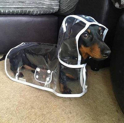 🐾🌧️Zuverlässiger Schutz vor Regen und Nässe: Der transparente Hunde-Regenmantel